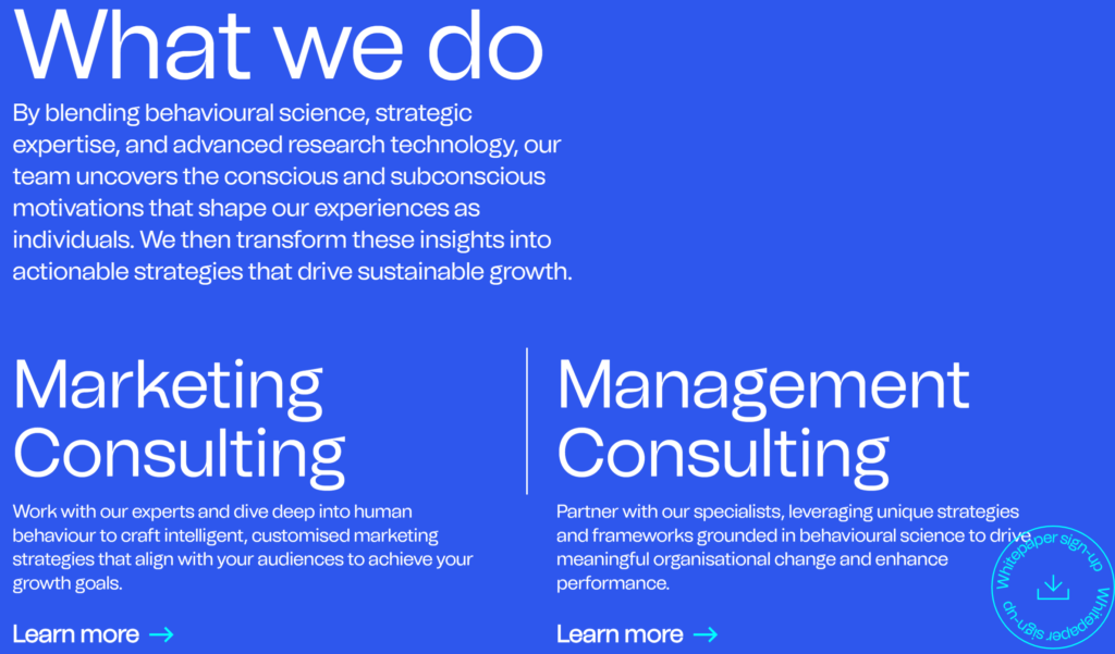 Behave website “What we do” section: Marketing Consulting and Management Consulting