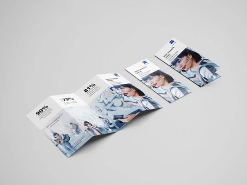 Mockup of a ZEISS Vision concertina leaflet and two smaller cards on a light grey surface