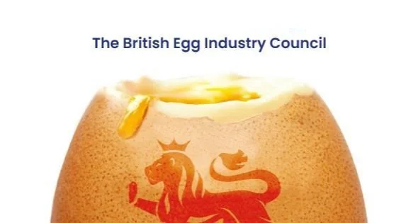 British Lion Eggs